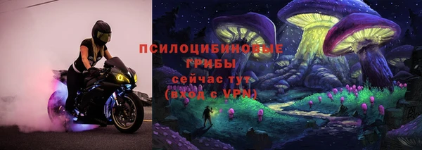соль ск Верея