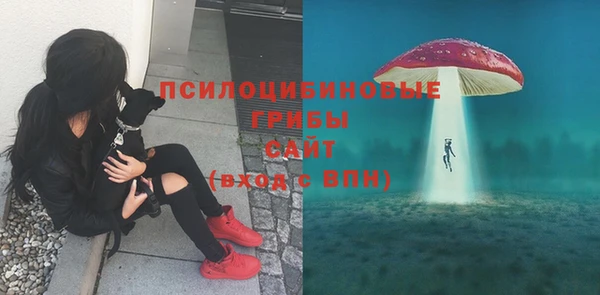 PSILOCYBIN Бородино