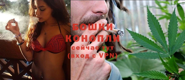 дживик Бронницы