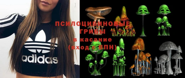 соль ск Верея